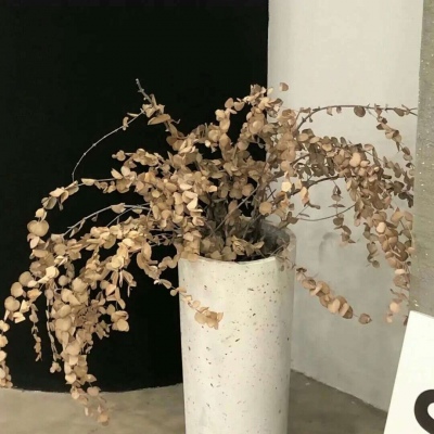 兽设雨夜场景绘制福瑞交流群